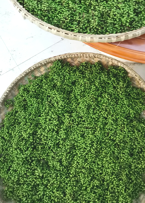 原生態(tài)鮮花椒