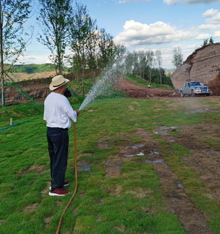 花椒基地-建設(shè)