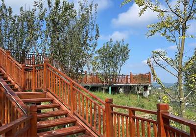 細數(shù)秋天的落葉，感生命的絢爛