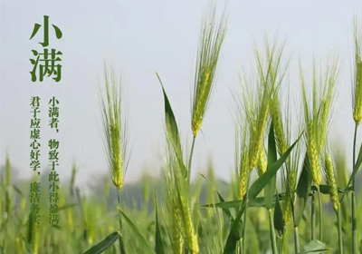 “花看半開，酒飲微醺”，人生最好是小滿