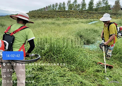 除雜草，護椒園 | 基地除草工作進行時......
