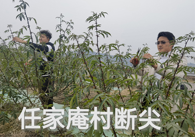 春意萌動，基地無閑時