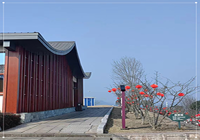 年味 |“今朝燈花喜，來年椒滿枝”